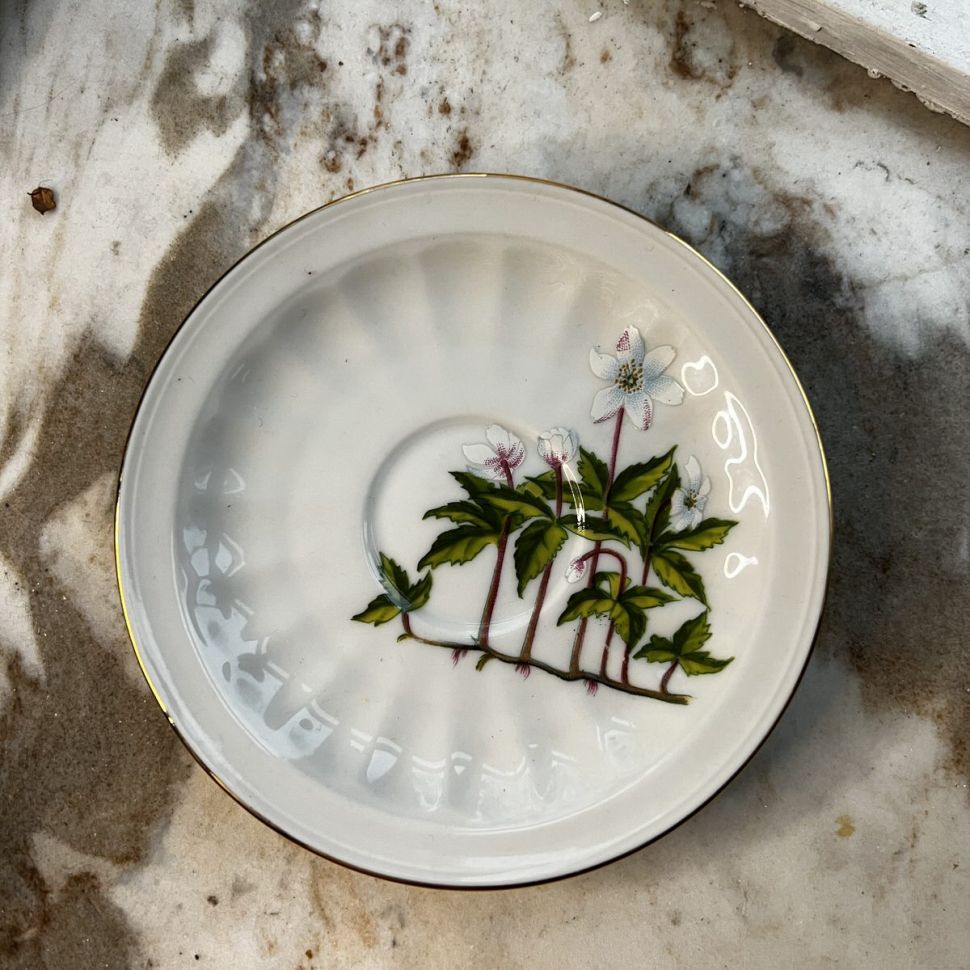 Блюдце Carl von Linne Anemone Nemorosa 175 мл Швеция