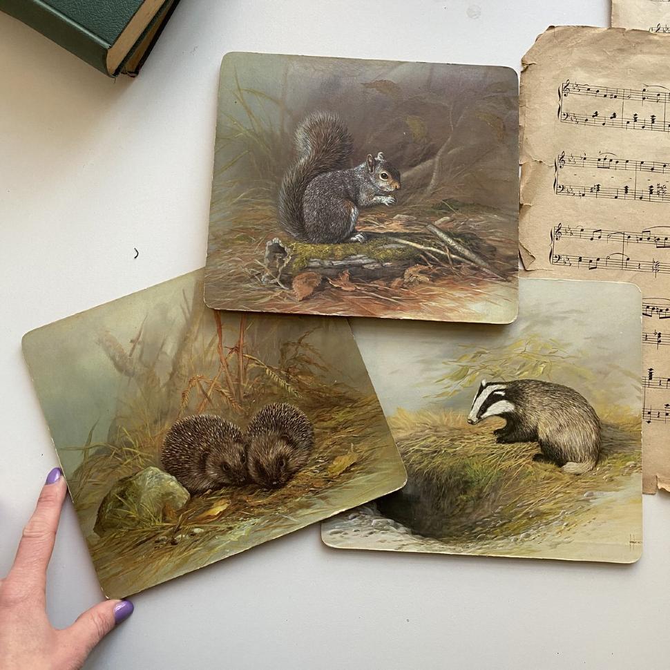 Подставка под горячее 22х20 см набор 3 штуки