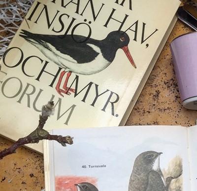 Энциклопедия Птицы 2