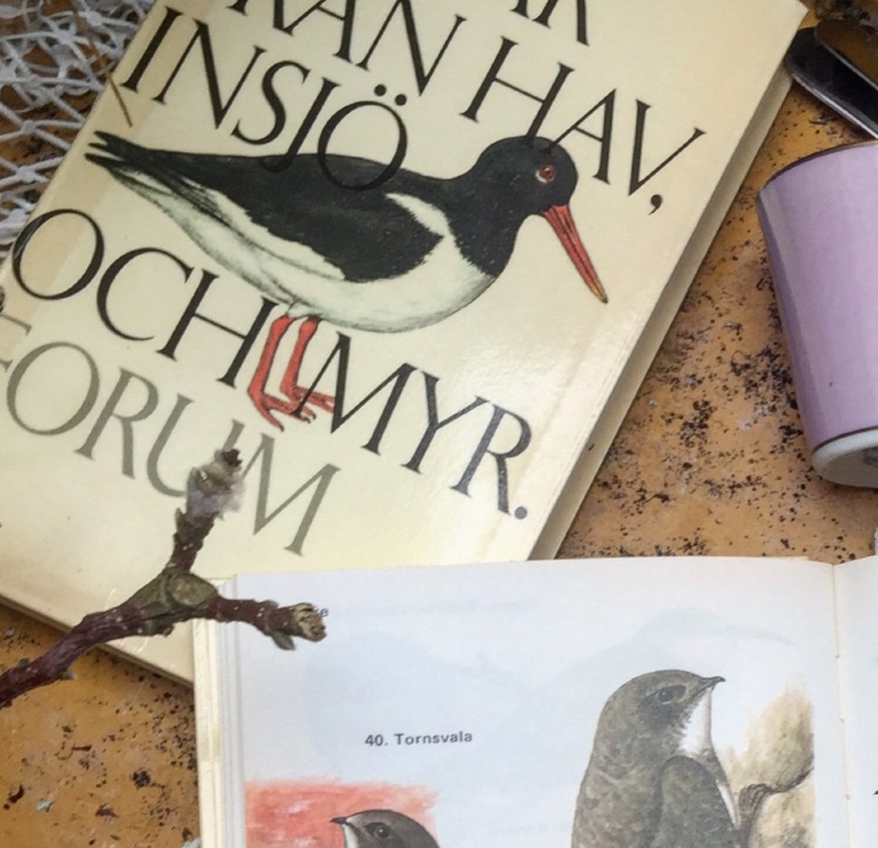 Энциклопедия Птицы 2