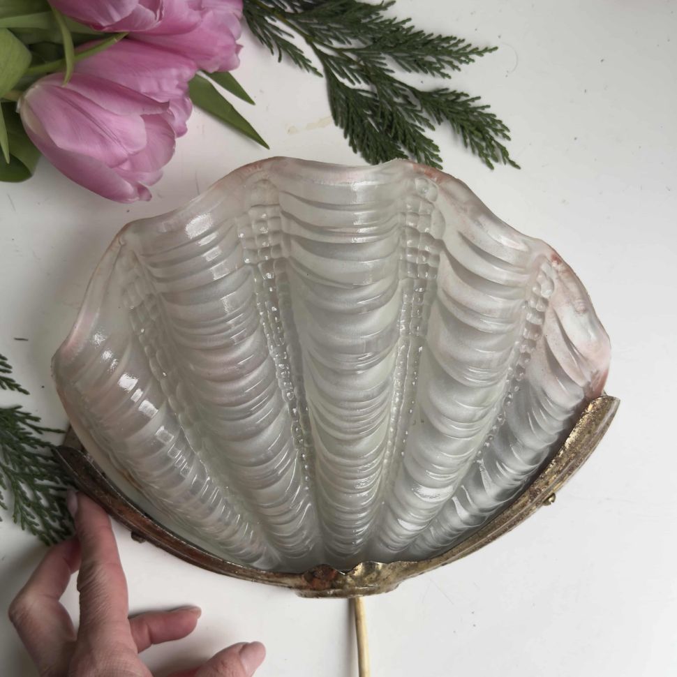 Бра Ракушка на 1 лампу 24 см стекло 