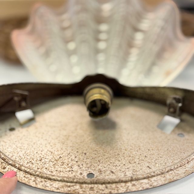 Бра Ракушка на 1 лампу 24 см стекло 