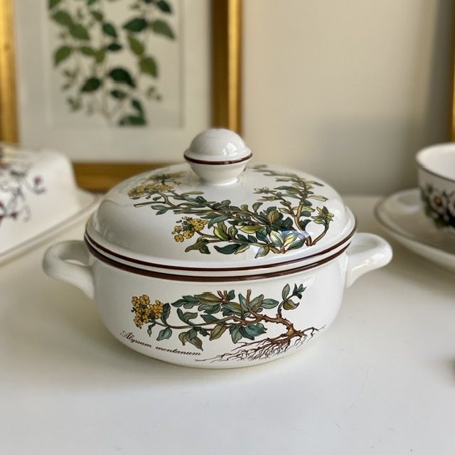 Террин бульонница Botanica ВиллеройБох 0,6 л