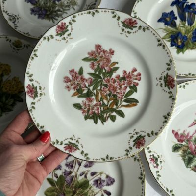 Тарелка Franklin Porcelain Альпийские цветы Rostblattrige Alpenrose 20 см фарфор Германия