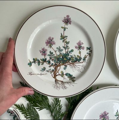 Тарелка для завтрака Thymus Botanica 21 см ВиллеройБох 2 категория