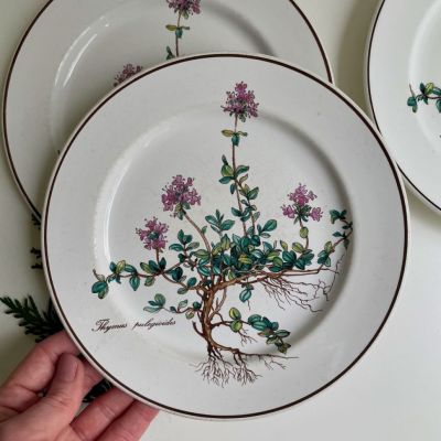 Тарелка для завтрака Botanica 21 см 2 категория Thymus ВиллеройБох