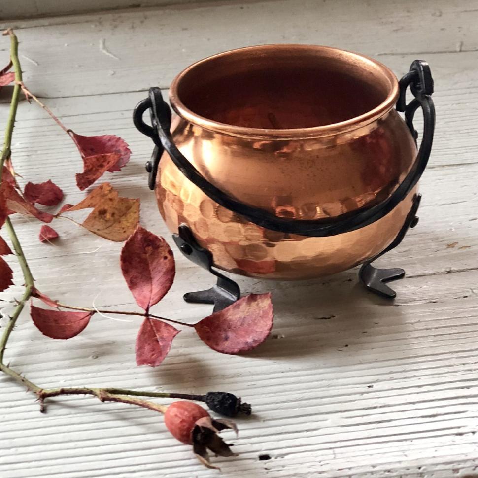 Зольник медный большой на лапках