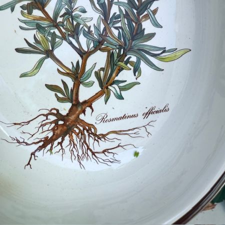 Блюдо овальное Botanica ВиллеройБох 28 см 