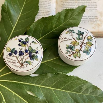 Шкатулка Botanica Рябина 8 см ВилеройБох