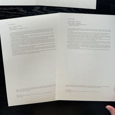 Литография 27х19 см Insectes d'Europe 2 шт стр. 144/116