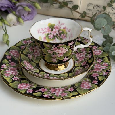Чайное трио черный Royal Albert Provincial Flowers Mayflower 200 мл Англия 