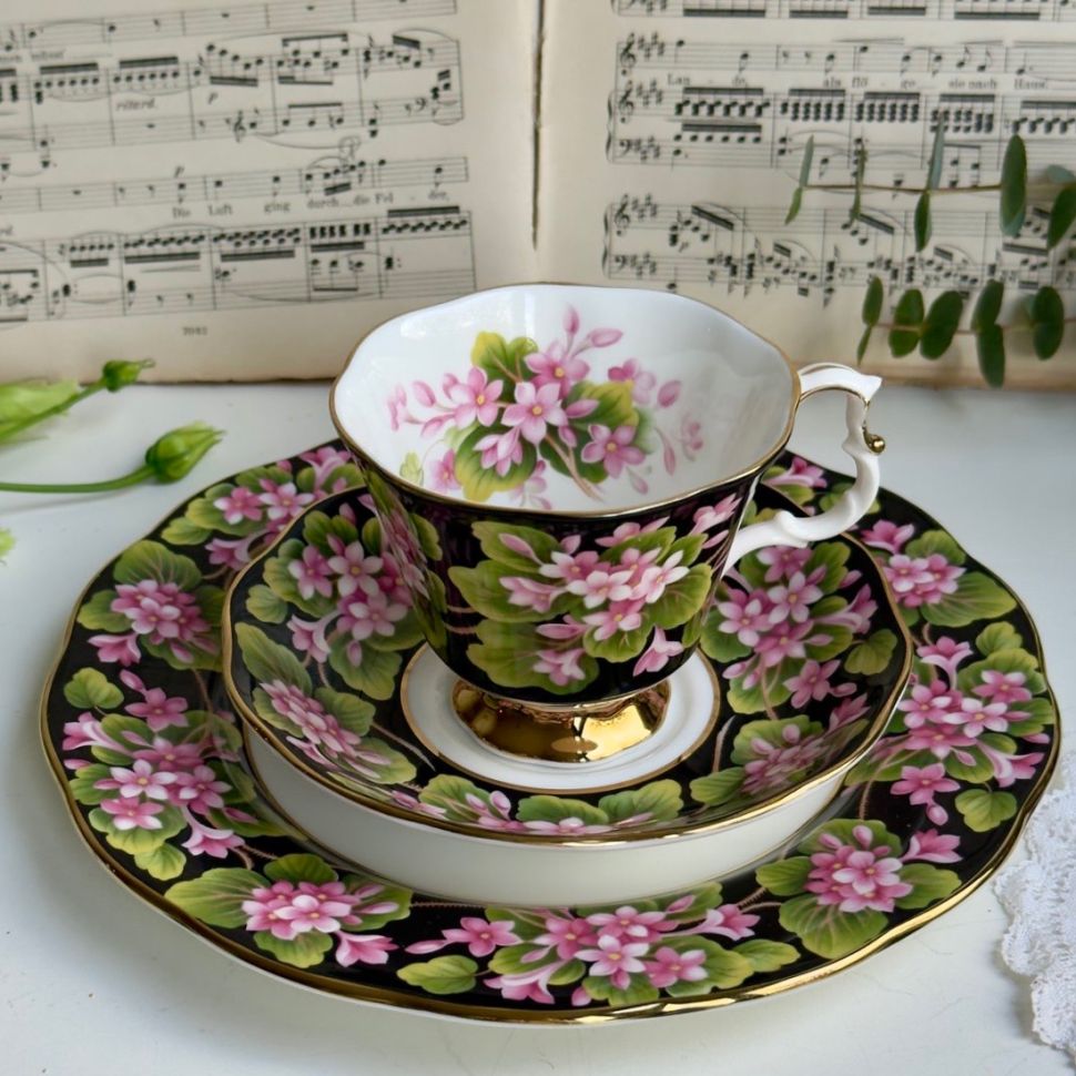 Чайное трио черный Royal Albert Provincial Flowers Mayflower 200 мл Англия 