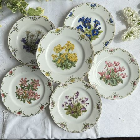 Чайная пара Franklin Porcelain Rostblattrige Alpenrose 200 мл фарфор Германия
