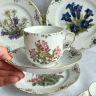 Чайная пара Franklin Porcelain Rostblattrige Alpenrose 200 мл фарфор Германия
