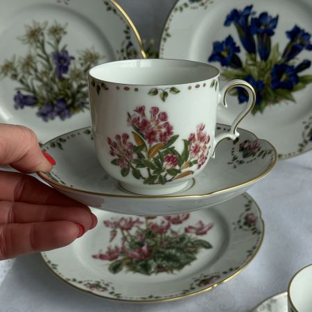 Чайная пара Franklin Porcelain Rostblattrige Alpenrose 200 мл фарфор Германия