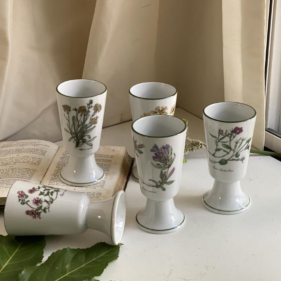 Бокал Ботаника 220 мл набор 5 шт фарфор