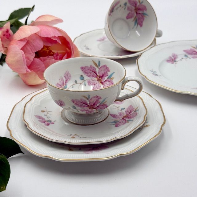 Чайная тройка Hutschenreughter Weimar Гибискус 200 мл Германия