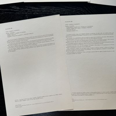 Литография 27х19 см Insectes d'Europe 2 шт стр. 156/145