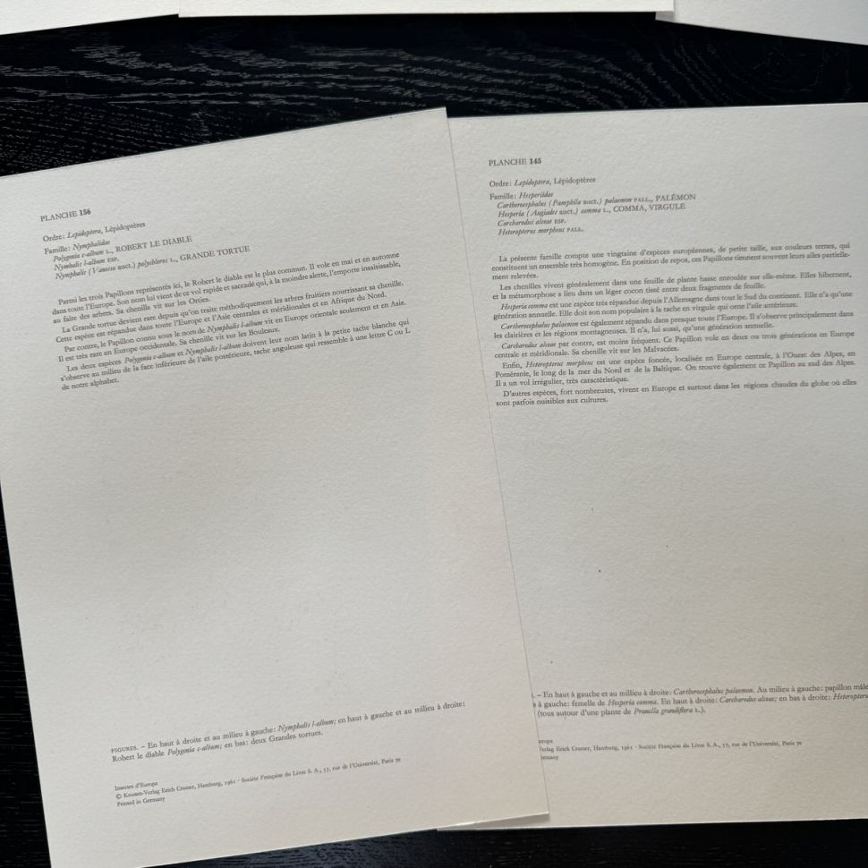 Литография 27х19 см Insectes d'Europe 2 шт стр. 156/145