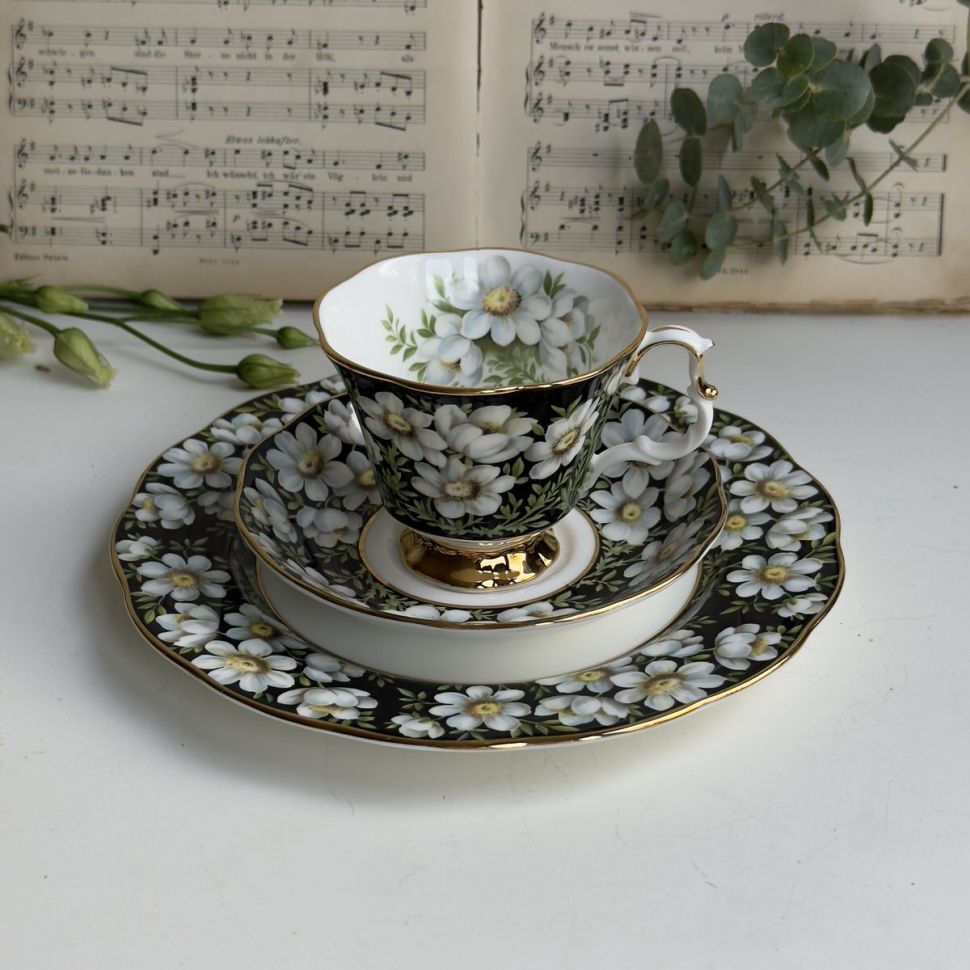 Чайное трио черный Royal Albert Provincial Flowers Mountain Avens 200 мл Англия