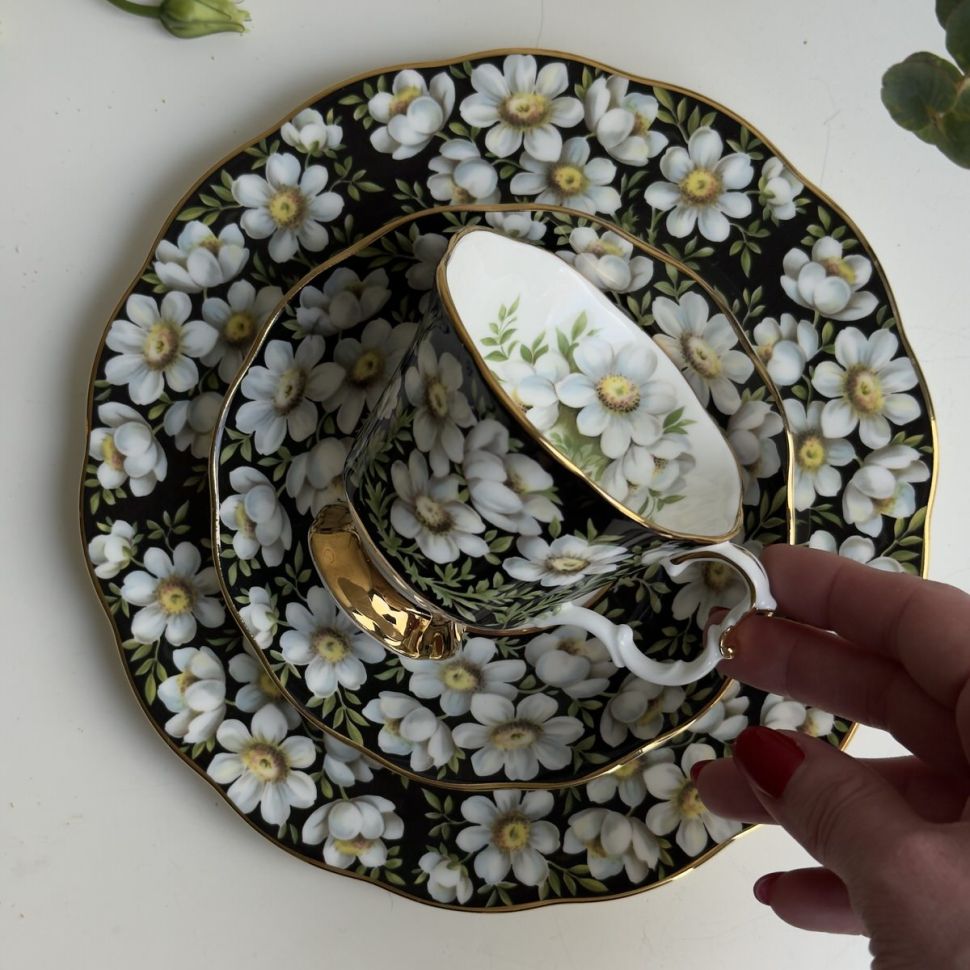 Чайное трио черный Royal Albert Provincial Flowers Mountain Avens 200 мл Англия