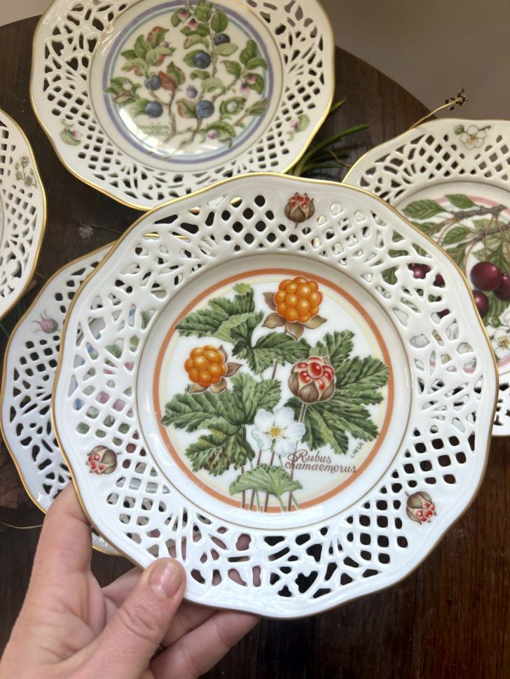 Тарелка Schumann Arzberg Tradition № 4 Морошка 19 см Германия