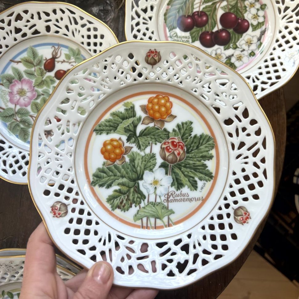 Тарелка Schumann Arzberg Tradition № 4 Морошка 19 см Германия