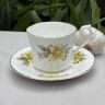 Кофейная пара Delfesta Staffordshire 150 мл фарфор Англия