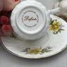 Кофейная пара Delfesta Staffordshire 150 мл фарфор Англия