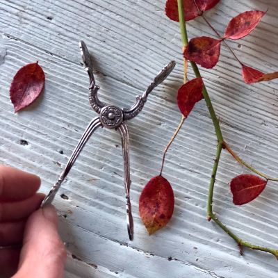 Щипцы для сахара