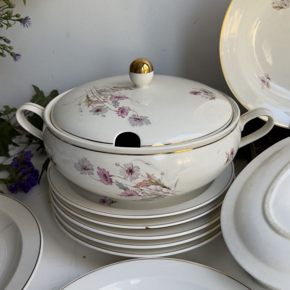 Супница террин Maastricht Petrus Regout Полевые цветы 1,5 л Голландия 125 лет 