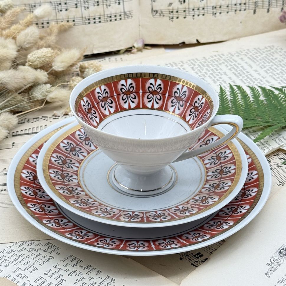 Чайное трио Von Schierholz 220 мл Германия