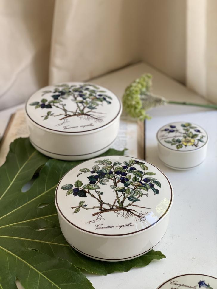 Шкатулка Botanica Vaccinium myrtillus ВиллеройБох 15 см