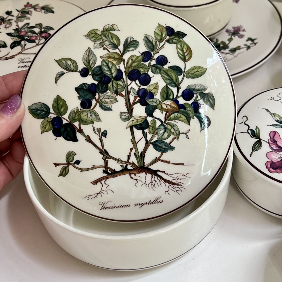 Шкатулка Botanica Vaccinium myrtillus ВиллеройБох 15 см