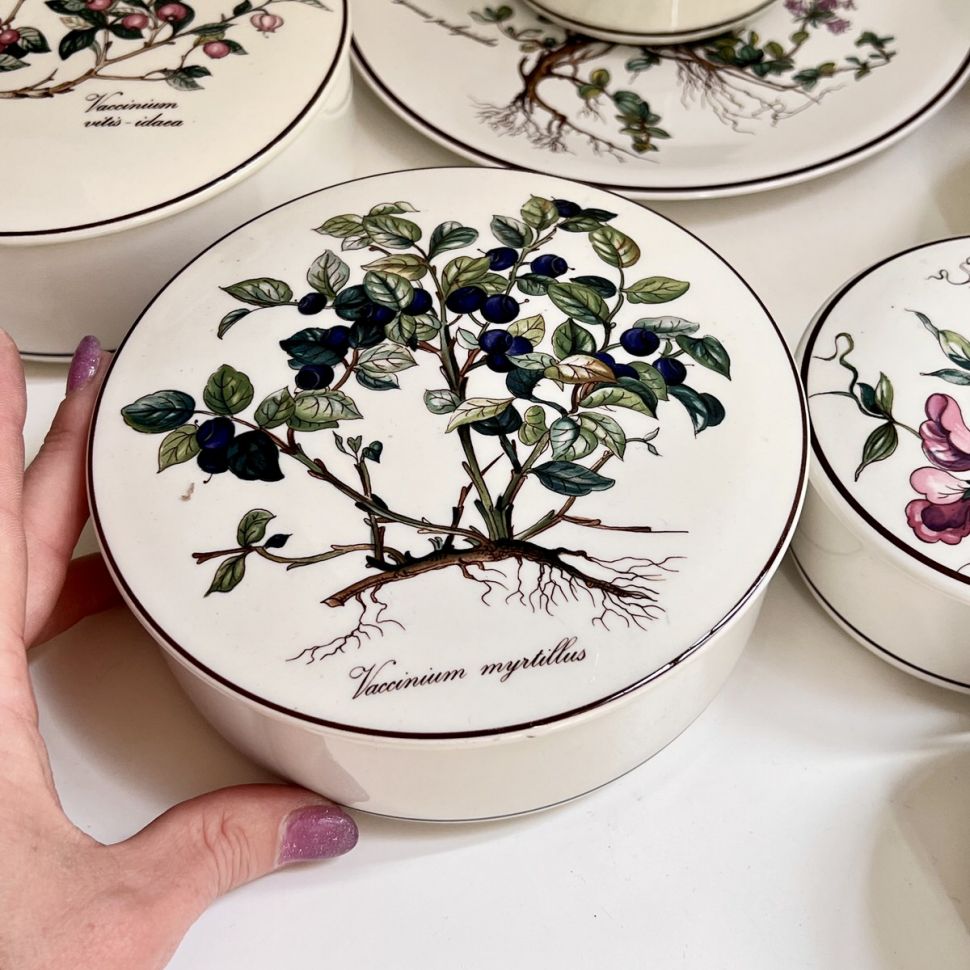 Шкатулка Botanica Vaccinium myrtillus ВиллеройБох 15 см