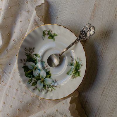 Ложка чайная 12 см British Columbia Canada