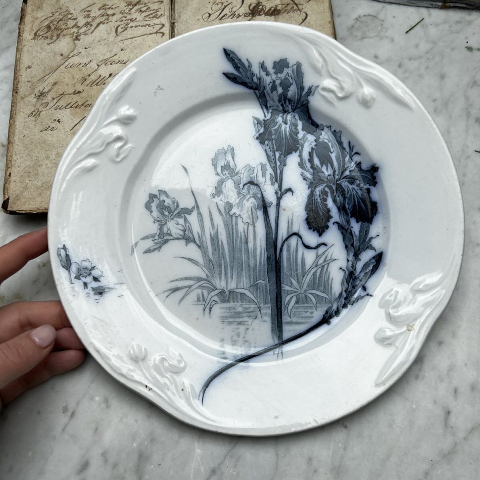 Тарелка ВиллеройБох Wallerfangen Iris 24 см Германия