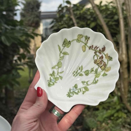 Блюдо ракушка Лесные цветы Porcelain de Paris 15 см Франция фарфор
