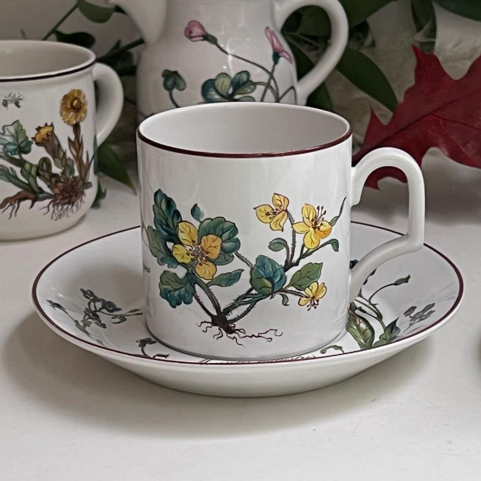 Кофейная пара Botanica DE ВиллеройБох 120 мл Германия