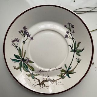 Кофейная пара Botanica DE ВиллеройБох 120 мл Германия