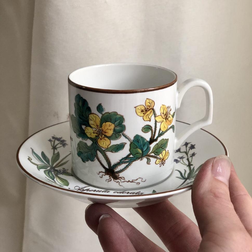 Кофейная пара Botanica DE ВиллеройБох 120 мл Германия