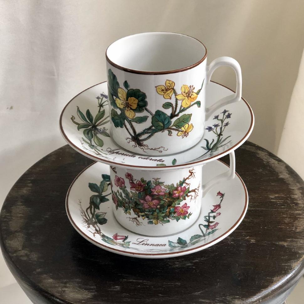 Кофейная пара Botanica DE ВиллеройБох 120 мл Германия