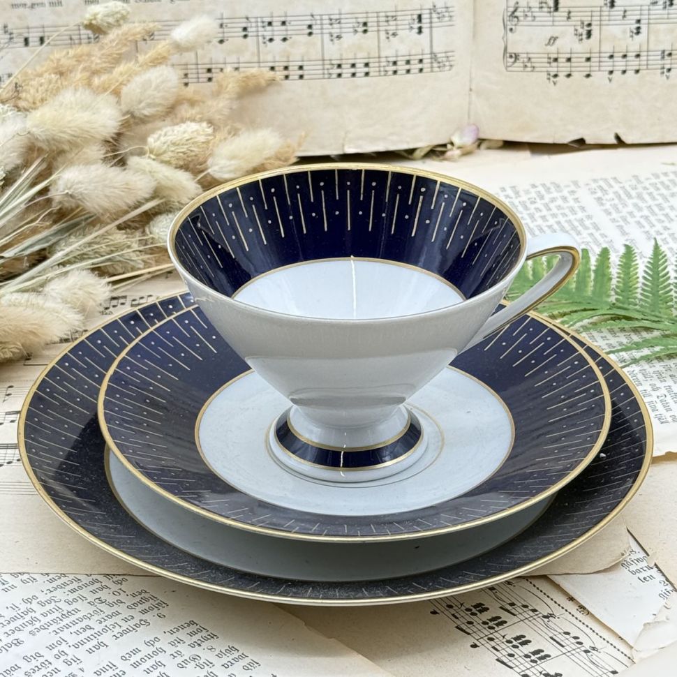 Чайное трио Von Schierholz 220 мл кобальт фарфор Германия