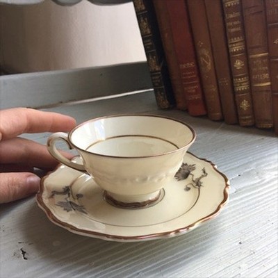 Кофейная пара Karlskrona сквозная трещина на чашке и два блюдца