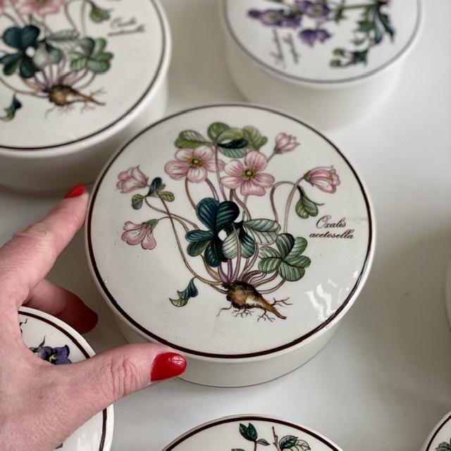 Шкатулка Botanica Oxalis acetosella ВиллеройБох 13 см