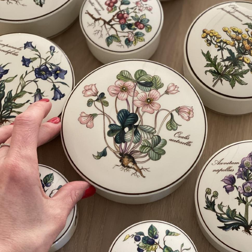 Шкатулка Botanica Oxalis acetosella ВиллеройБох 13 см