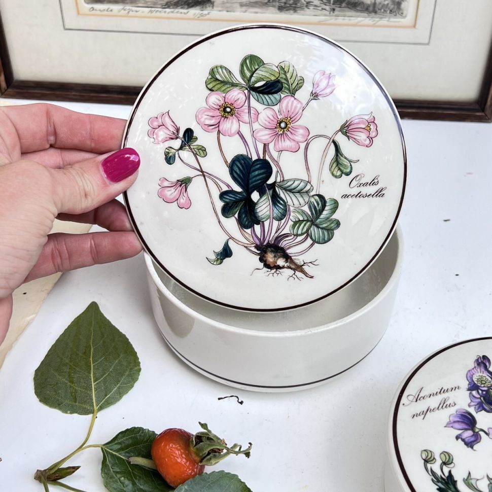 Шкатулка Botanica Oxalis acetosella ВиллеройБох 13 см