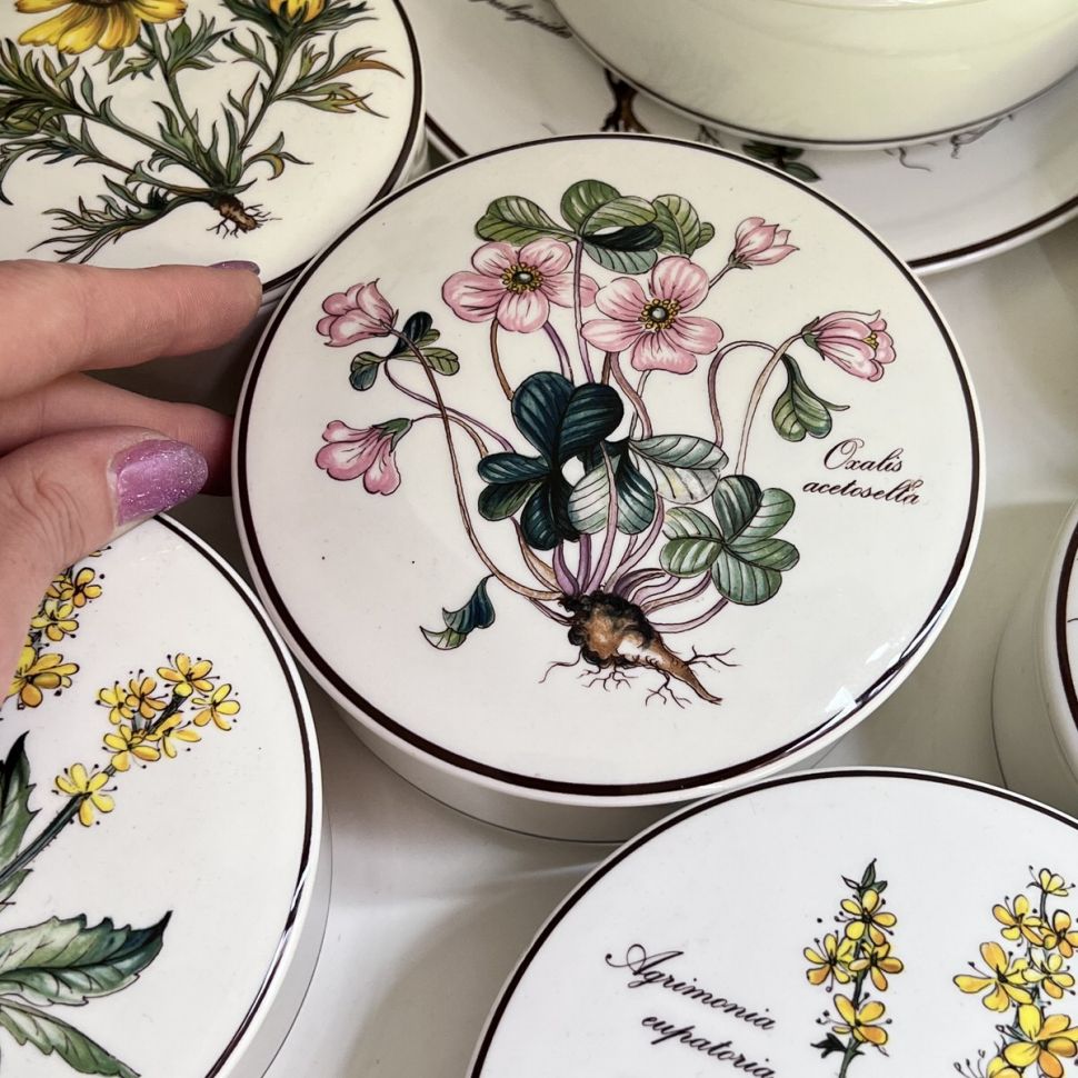 Шкатулка Botanica Oxalis acetosella ВиллеройБох 13 см