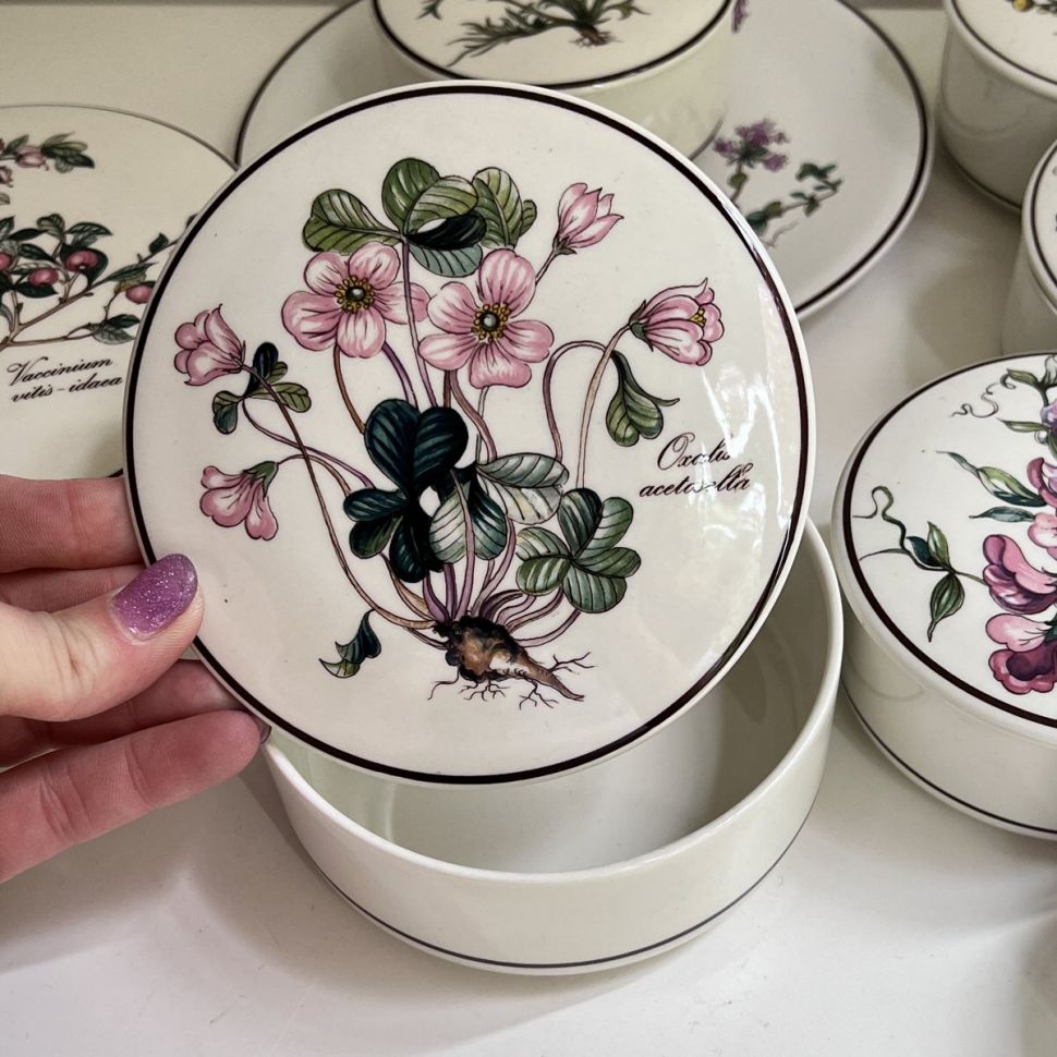 Шкатулка Botanica Oxalis acetosella ВиллеройБох 13 см