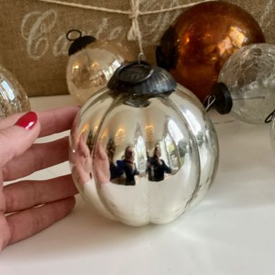 Шар тыковка Голландский серебряный большой